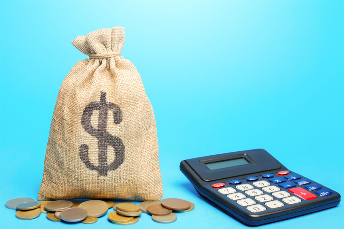 Simple loan payment calculator